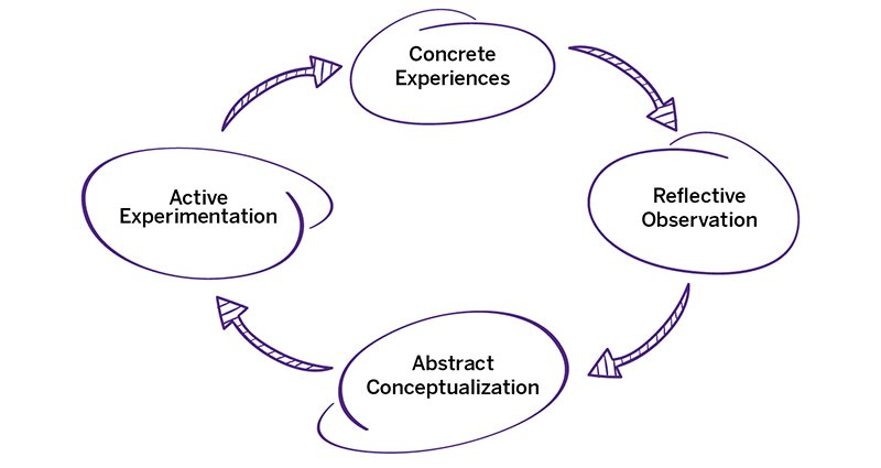 A diagram showing the experiential learning cycle.